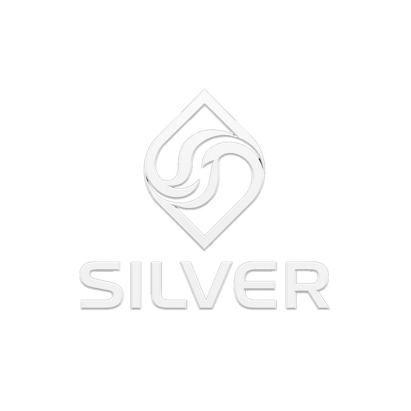 Silver Soft Logo